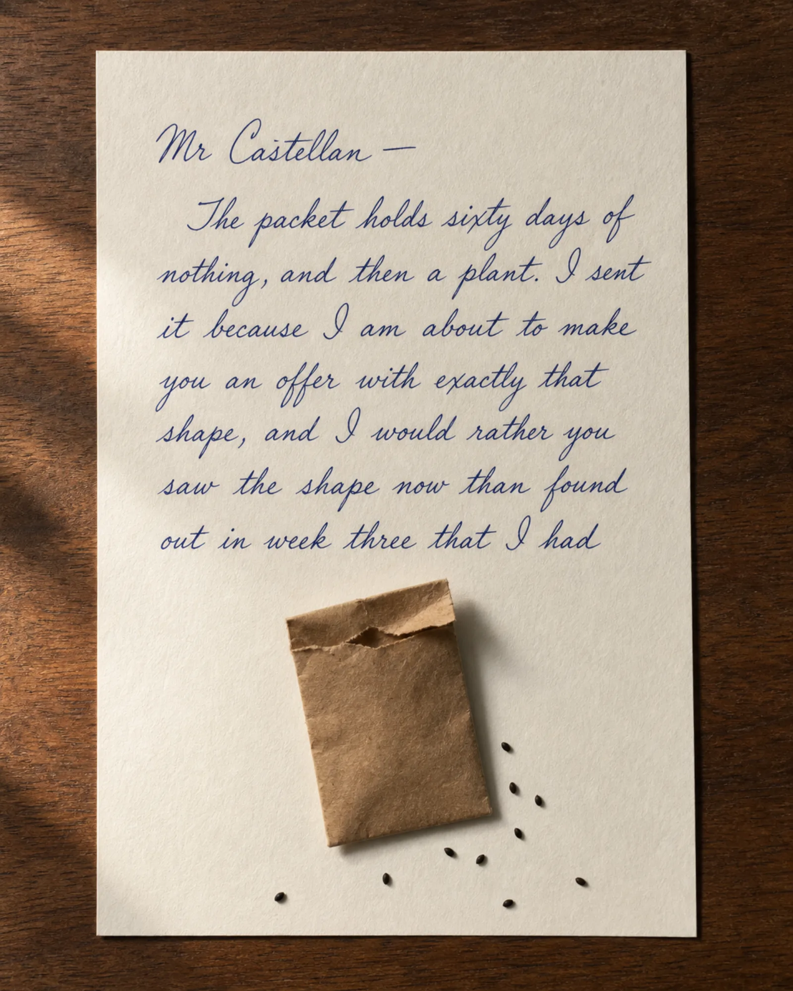 An open seed packet on a handwritten letter, seeds spilled beside it.